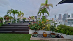 Belle Vue Residences (D9), Condominium #444484931